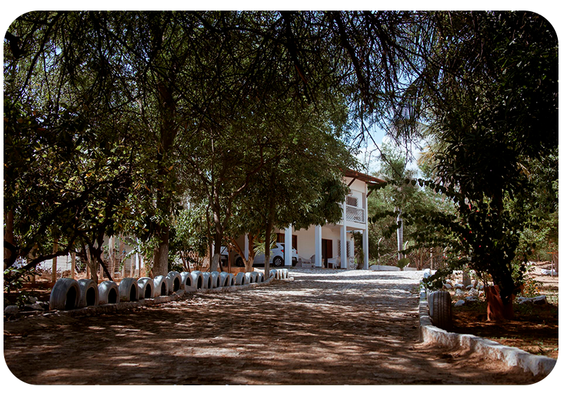 Caminho arborizado que leva à Clínica Recomeço